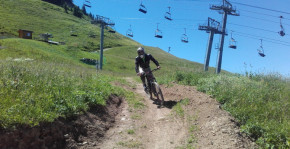 Aravis V.T.T.