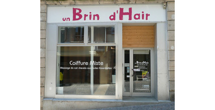UN BRIN D'HAIR