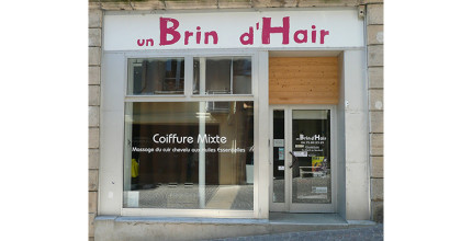 BRIN D'HAIR