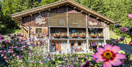 Hameau des Alpes